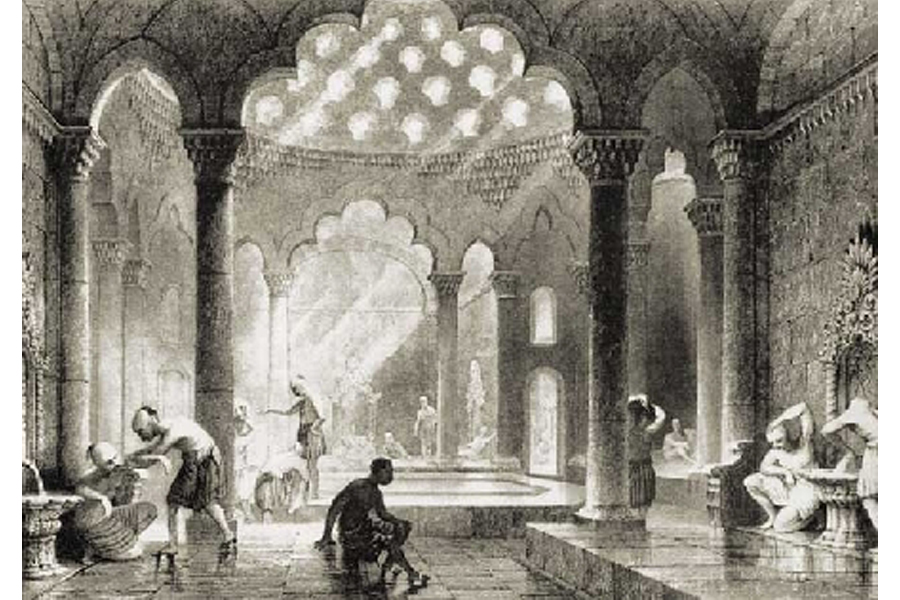 HumiSteam Wellness от CAREL